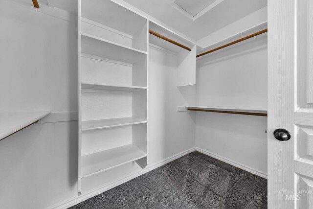 1295 NE Blossom, Mountain Home, ID 83647 - walk in closet with dark carpet