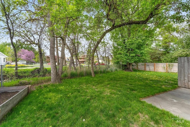 view of yard featuring a fenced backyard