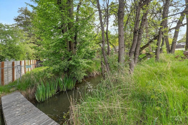 view of local wilderness