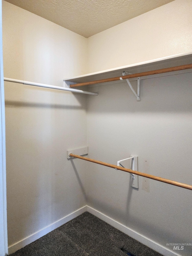 spacious closet featuring carpet flooring