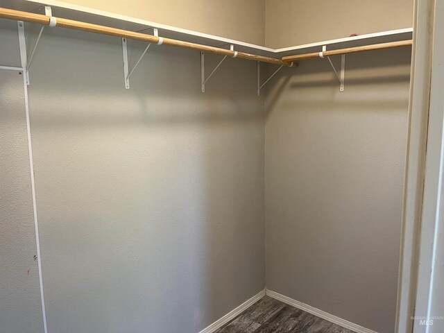 walk in closet with dark wood-type flooring