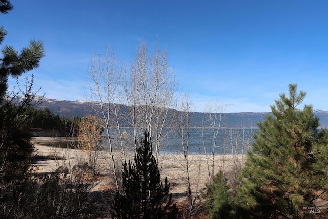 property view of water featuring a mountain view