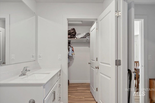 bathroom with wood finished floors, vanity, and a spacious closet