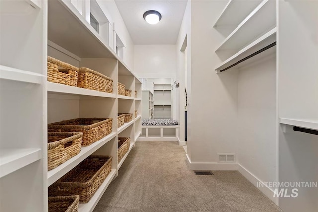 421 E Fishing Creek Ln, Eagle, ID 83616 - spacious closet featuring carpet floors