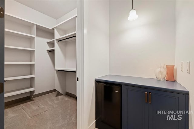 421 E Fishing Creek Ln, Eagle, ID 83616 - walk in closet with light colored carpet