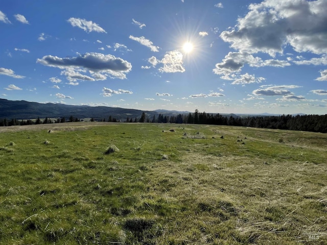 1204 Morris Rd, Princeton ID, 83857 land for sale