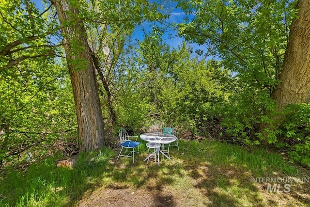 13343 N Horseshoe Bend Rd, Boise, ID 83714 - view of yard
