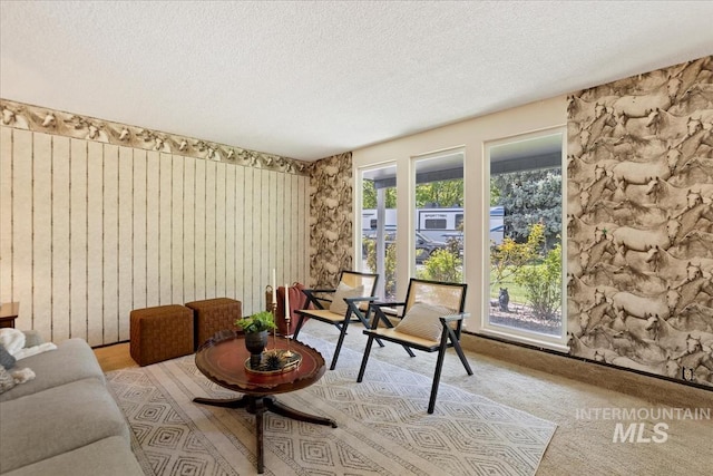 13343 N Horseshoe Bend Rd, Boise, ID 83714 - carpeted living area with a textured ceiling