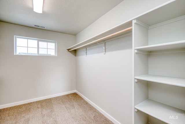 walk in closet with light colored carpet and visible vents