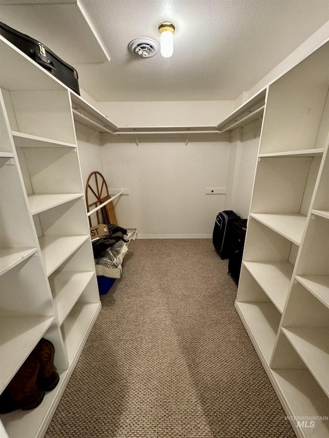 walk in closet with carpet floors and visible vents