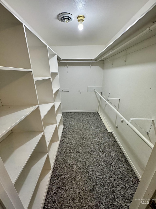 walk in closet featuring carpet floors and visible vents