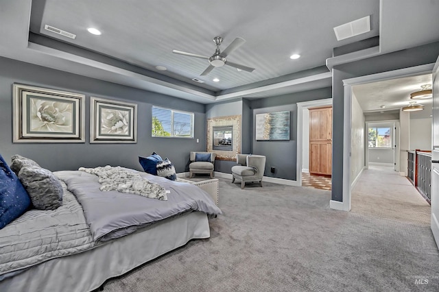 5278 N Cougar Flat Pl, Meridian, ID 83646 - bedroom with a tray ceiling, carpet, baseboards, and visible vents