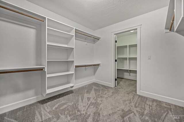 5278 N Cougar Flat Pl, Meridian, ID 83646 - spacious closet featuring carpet floors