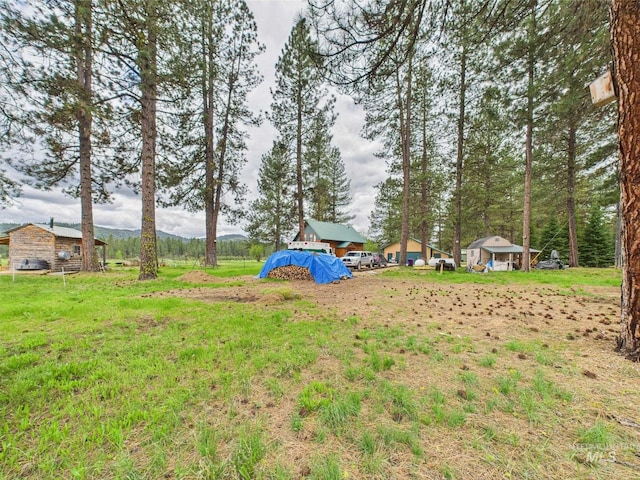 19 Hack Ln, Idaho City, ID 83631 - view of yard
