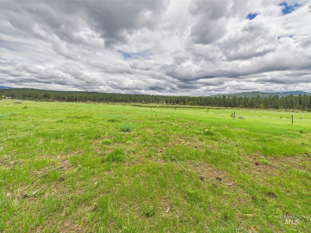 19 Hack Ln, Idaho City, ID 83631 - view of local wilderness with rural landscape