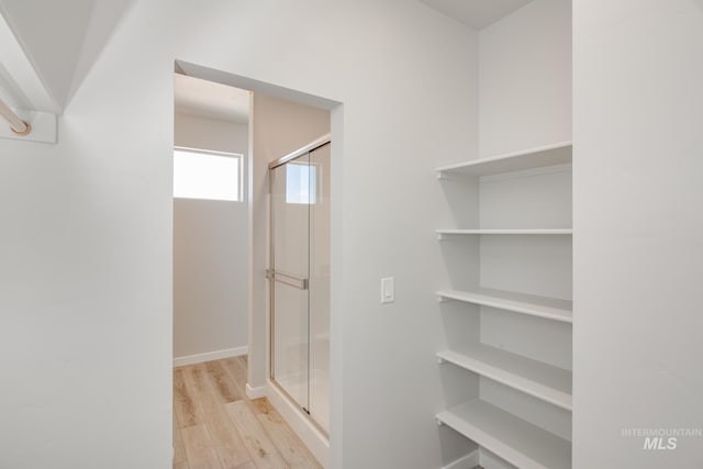 bathroom featuring wood-type flooring and a shower with shower door