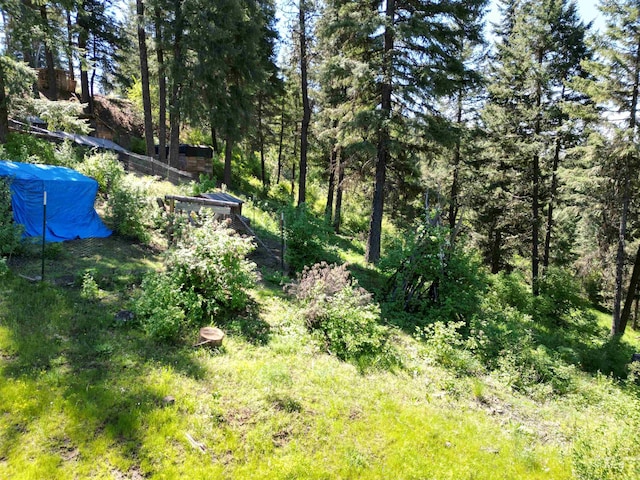 997 Norton Knob Ln, Orofino, ID 83544