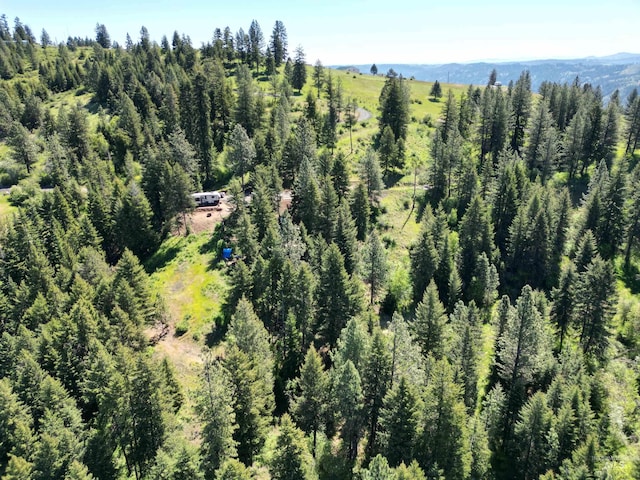 997 Norton Knob Ln, Orofino, ID 83544