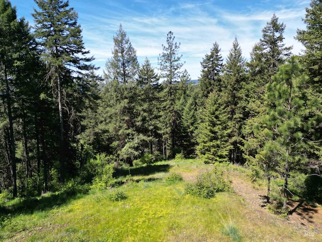 997 Norton Knob Ln, Orofino, ID 83544