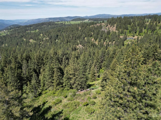 997 Norton Knob Ln, Orofino, ID 83544