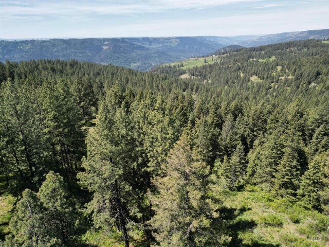 997 Norton Knob Ln, Orofino, ID 83544