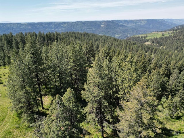 997 Norton Knob Ln, Orofino, ID 83544