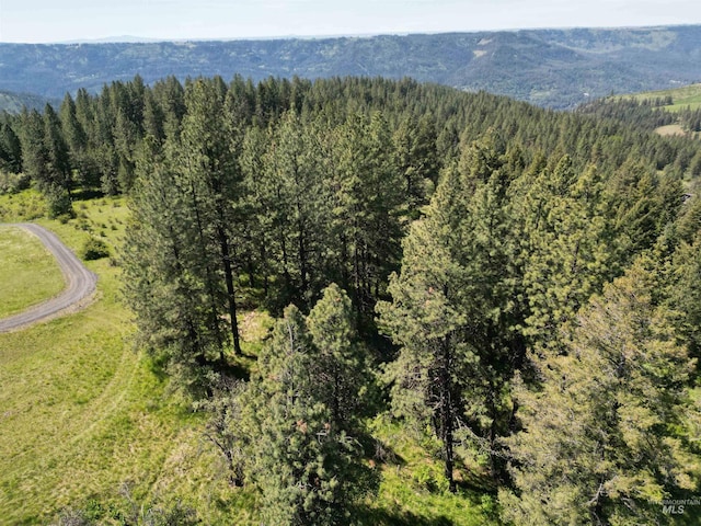 997 Norton Knob Ln, Orofino, ID 83544