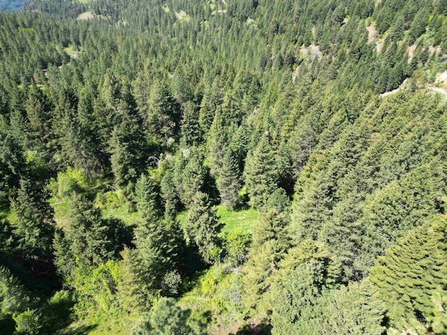 997 Norton Knob Ln, Orofino, ID 83544