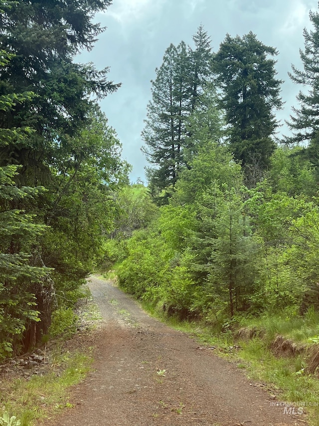 997 Norton Knob Ln, Orofino, ID 83544