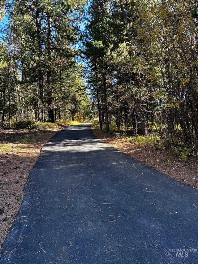 14187 Hancock Rd, Mccall, ID 83638 - view of road