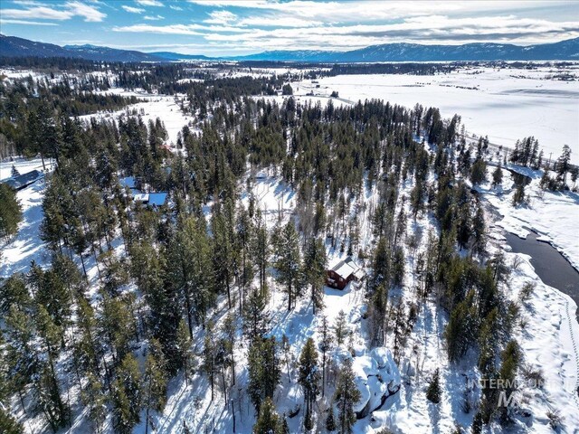 14187 Hancock Rd, Mccall, ID 83638 - snowy aerial view featuring a mountain view