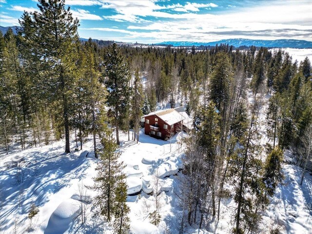 14187 Hancock Rd, Mccall, ID 83638 - snowy aerial view with a wooded view