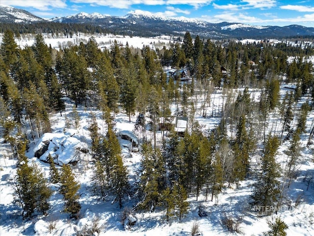14187 Hancock Rd, Mccall, ID 83638 - snowy aerial view with a mountain view