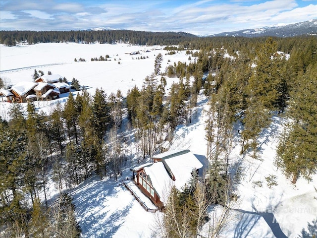 14187 Hancock Rd, Mccall, ID 83638 - snowy aerial view featuring a forest view
