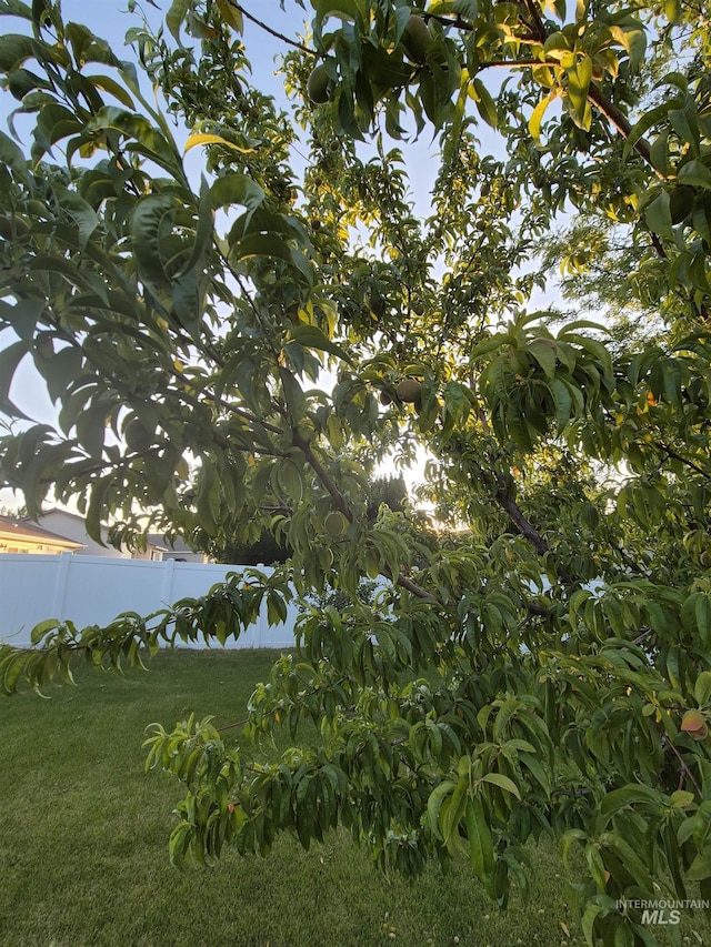 400 Pheasant Rd W, Twin Falls, ID 83301 - view of yard