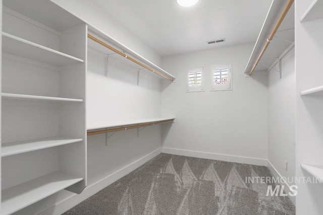 spacious closet with carpet flooring