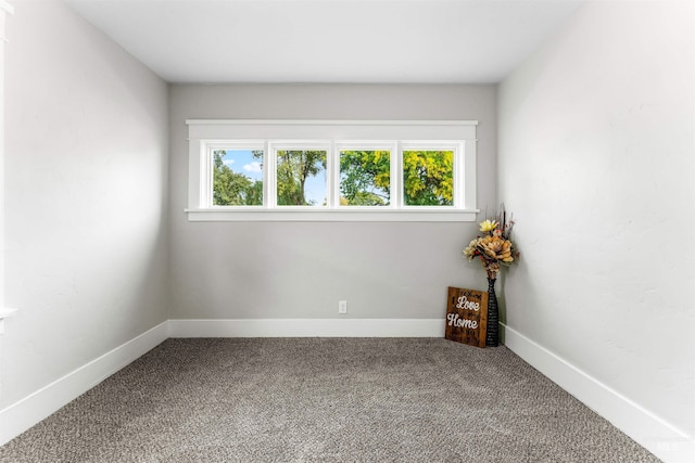 spare room featuring carpet