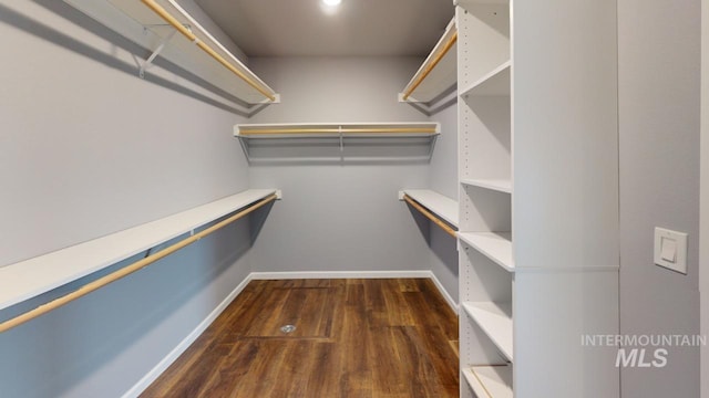 walk in closet with dark hardwood / wood-style flooring