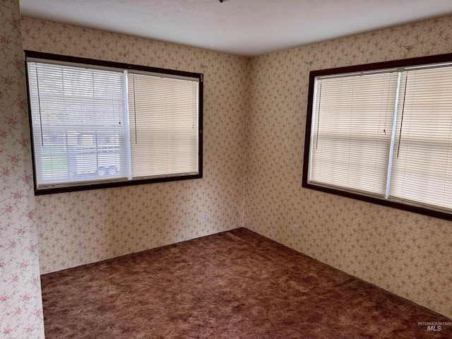 263 Whitman St, Albion, ID 83311 - spare room featuring carpet floors and wallpapered walls