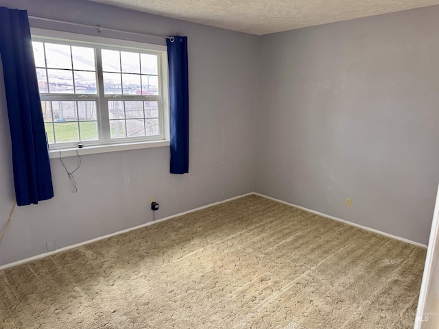 263 Whitman St, Albion, ID 83311 - spare room with carpet flooring, baseboards, and a textured ceiling