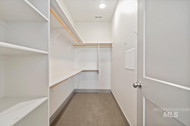 2381 E Warm Spgs, Boise, ID 83712 - spacious closet with light colored carpet