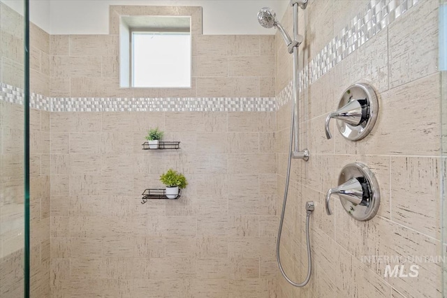 2381 E Warm Spgs, Boise, ID 83712 - bathroom view of tiled shower