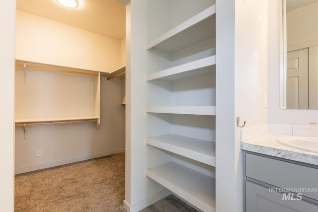 spacious closet featuring carpet floors and sink