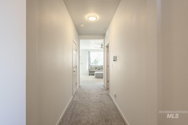 hallway with light colored carpet