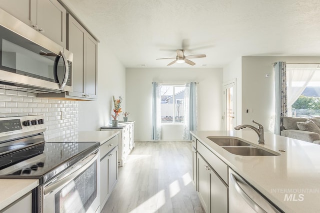 kitchen with sink, tasteful backsplash, light wood-type flooring, gray cabinets, and stainless steel appliances