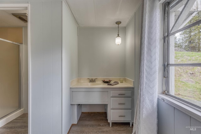 bathroom featuring a sink, a shower with shower door, and wood finished floors