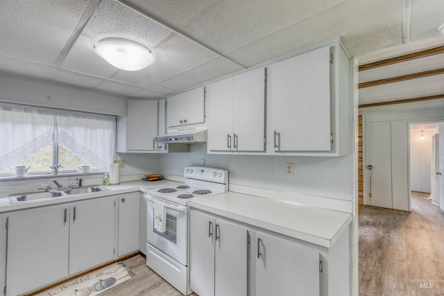 kitchen with a sink, white range with electric stovetop, under cabinet range hood, and light wood-style flooring