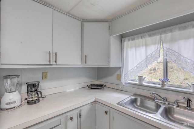 kitchen featuring light countertops and a sink