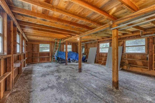 miscellaneous room with a wealth of natural light