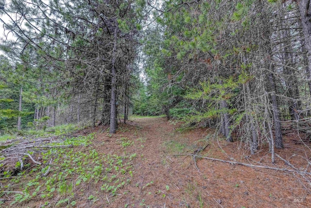 view of nature featuring a forest view